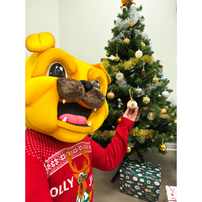 Coffret de 2 boules de Noël